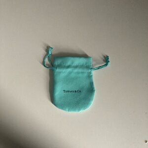 Tiffany & Co. 18k gold Aqua Pouch